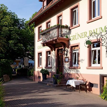 Hotel & Restaurant Gruener Baum Merzhausen Extérieur photo