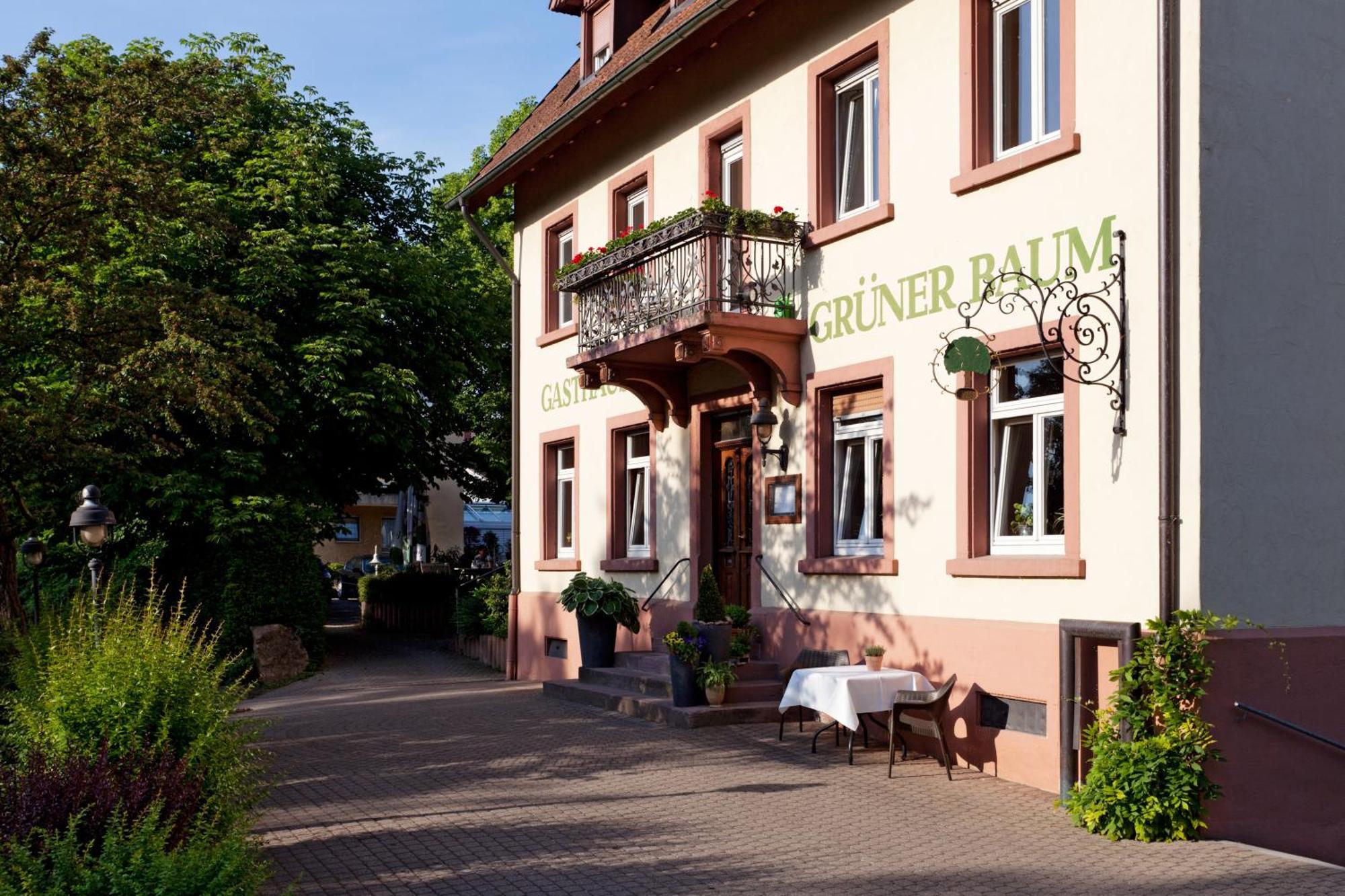 Hotel & Restaurant Gruener Baum Merzhausen Extérieur photo