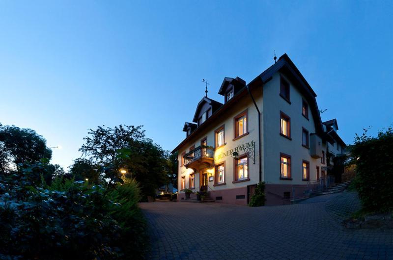 Hotel & Restaurant Gruener Baum Merzhausen Extérieur photo