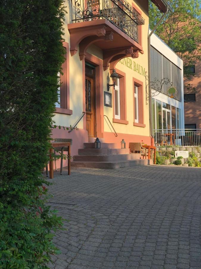 Hotel & Restaurant Gruener Baum Merzhausen Extérieur photo